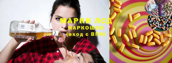 PSILOCYBIN Алзамай