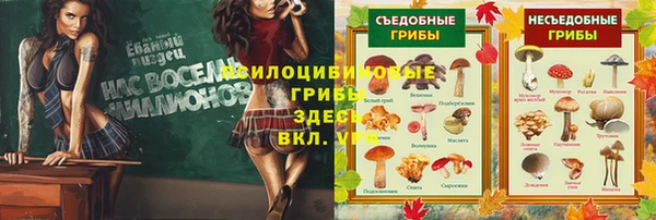 PSILOCYBIN Алзамай