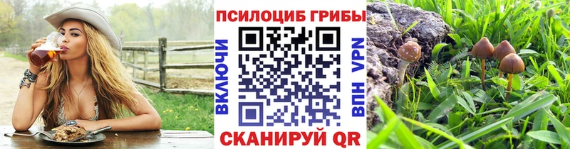 Псилоцибиновые грибы Magic Shrooms Ахтубинск