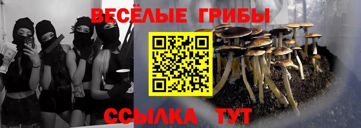 Галлюциногенные грибы MAGIC MUSHROOMS  Вход с VPN  Ахтубинск  Галлюциногенные грибы MAGIC MUSHROOMS 
